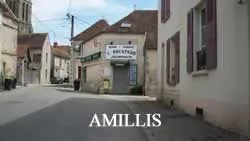 epaviste gratuit amillis