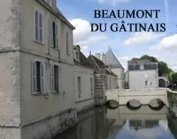 epaviste gratuit beaumont-du-gâtinais