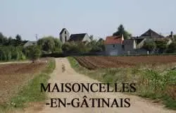 epaviste gratuit maisoncelles-en-gâtinais