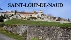 epaviste gratuit saint-loup-de-naud